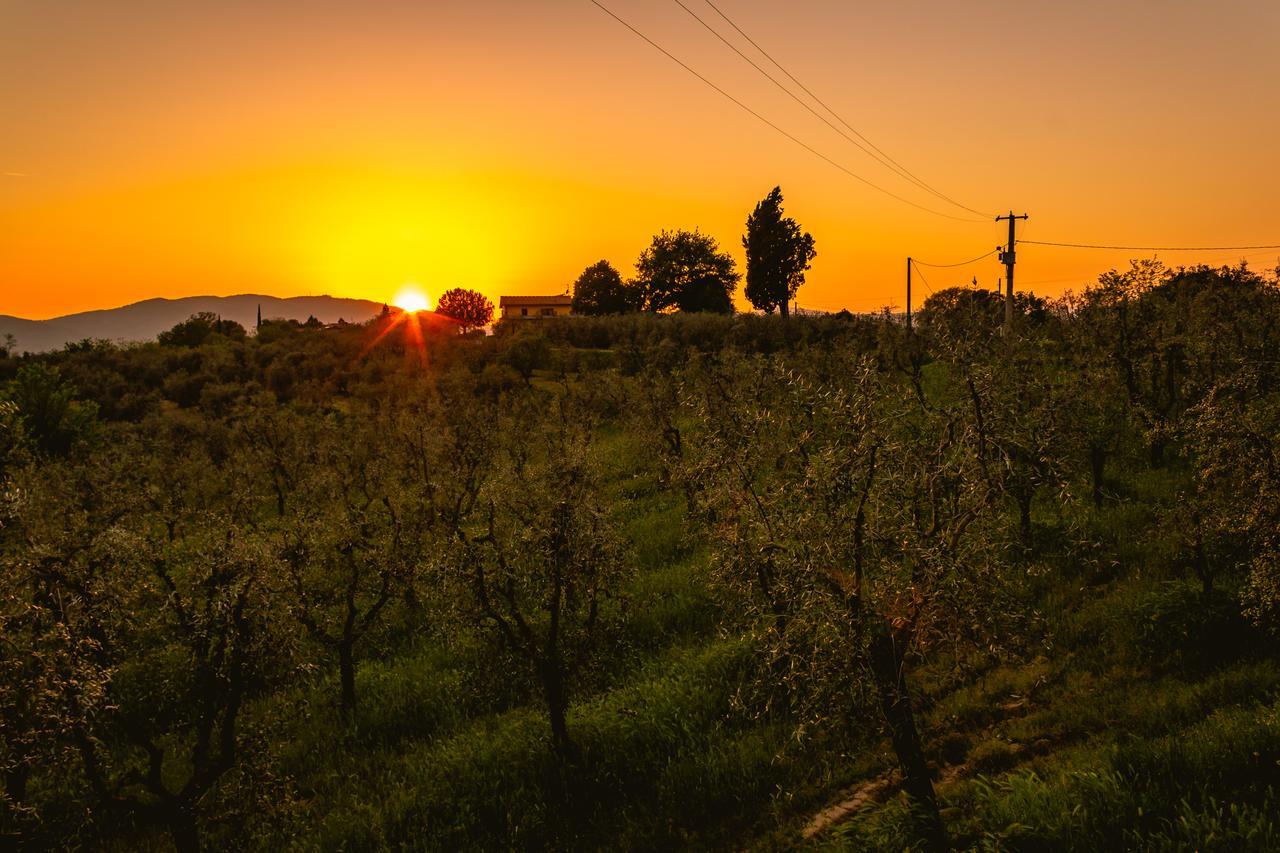 Agriturismo Bellosguardo レッジェッロ エクステリア 写真